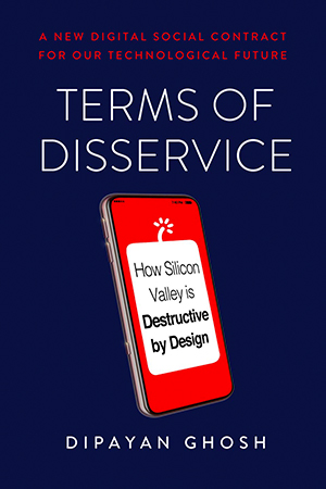 Cover of the book, Terms of Disservice