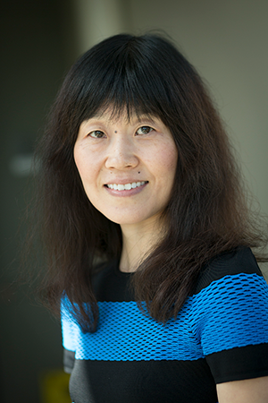 Photo of Professor Qing Zhao